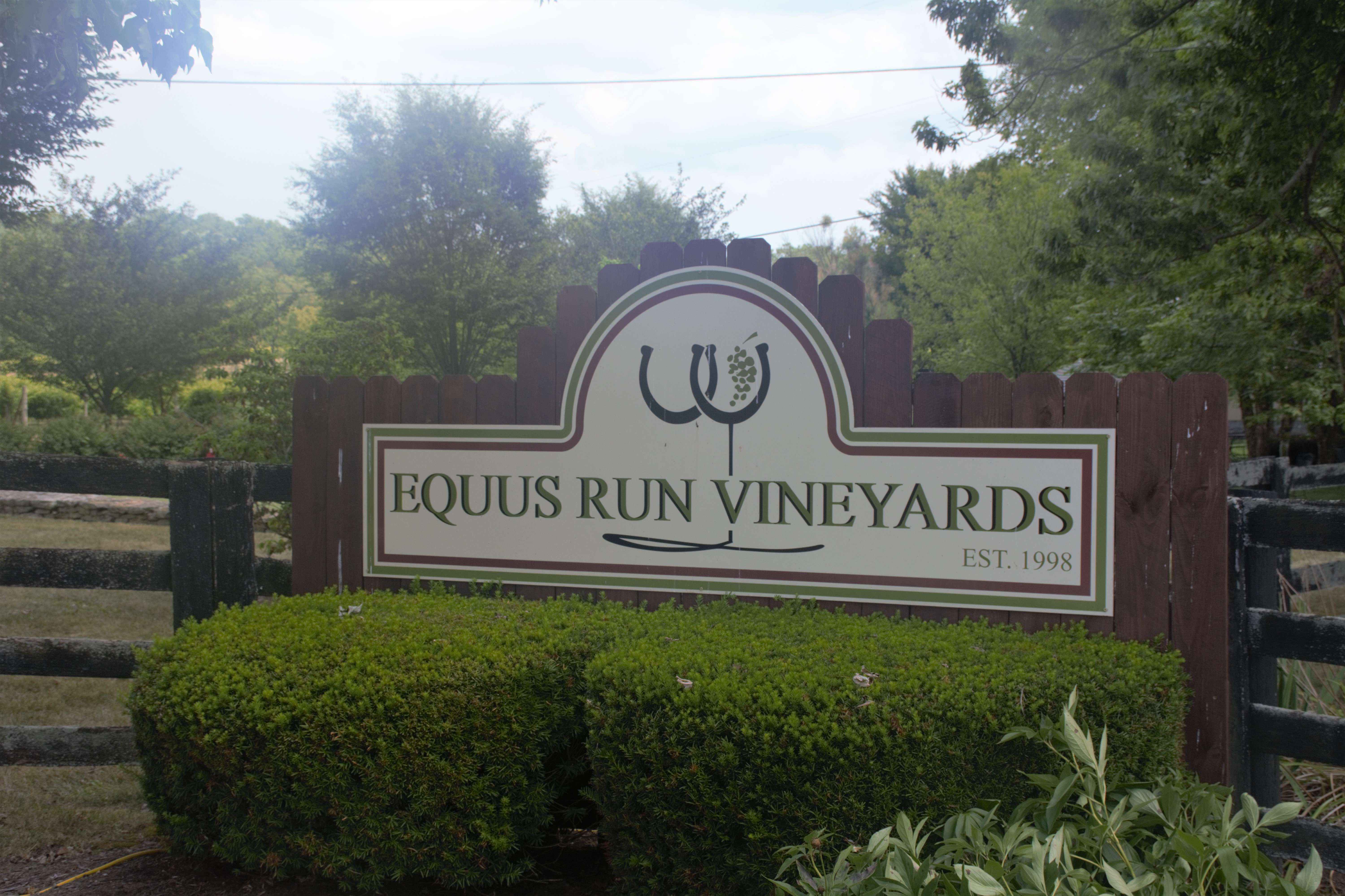 Equus Run Vineyard