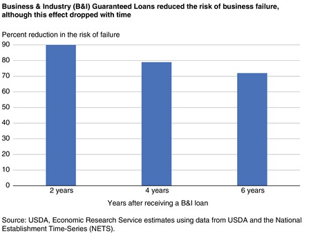 Graft of Business Loans