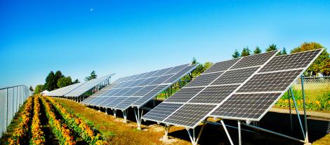 Photo of solar panels for energy 
