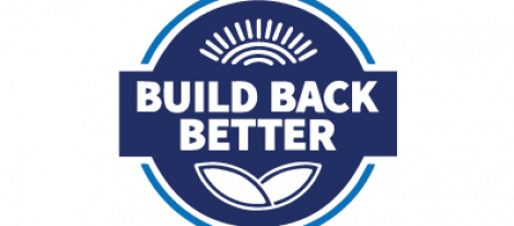 Build Back Better Icon
