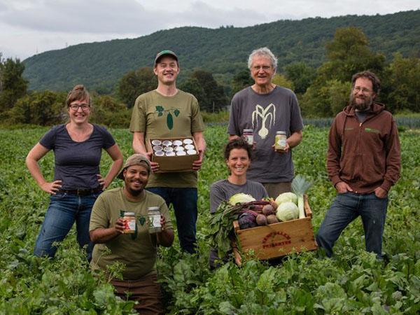 Real Pickles in the field