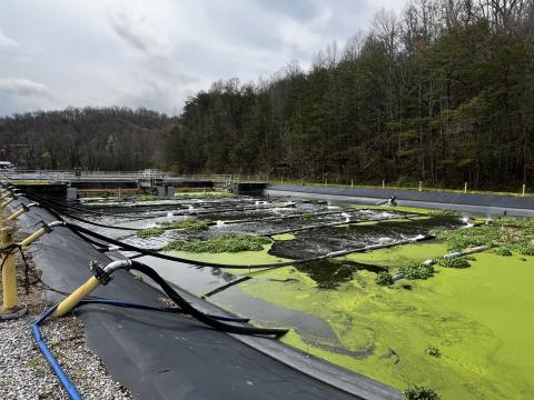 Wastewater treatment plant lagoon.