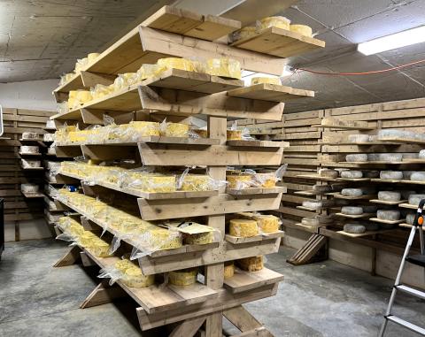 The image shows a room with shallow wooden shelves lined with wheels of hard cheeses.