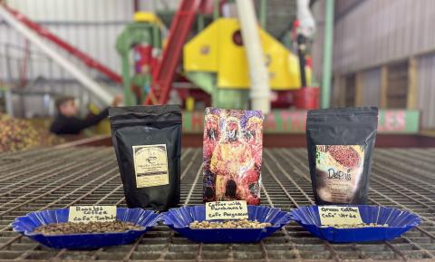 Variety of different coffee beans and packaging