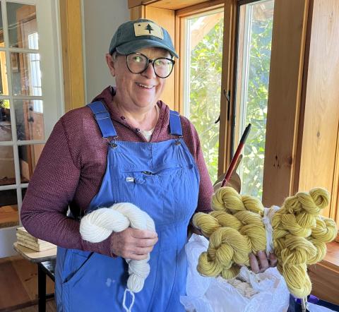The farmer is pictured holding a skein of natural colored wool (white) in one hand and several skeins of golden yellow yard in the other hand, standing near a window with greenery outside.