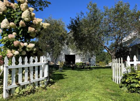 An open gate in a picket fence shows a sweep of green lawn leading to a white barn in the background. There are apple trees on the lawn, and a white house visible on the right. 