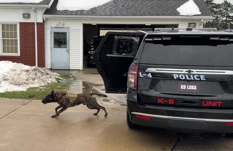 Police dog jumping out of a car.