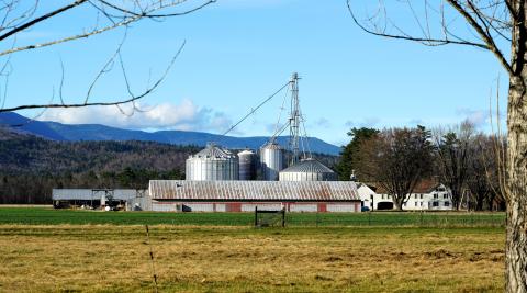 Green Thumb Farms is set in the Saco River Valley in Western Maine.