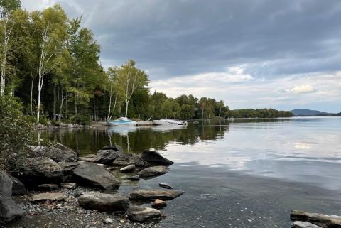 Lakefront with timber shoreline