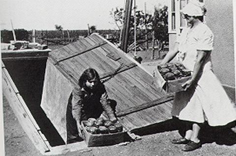 photo of family moving produce from family