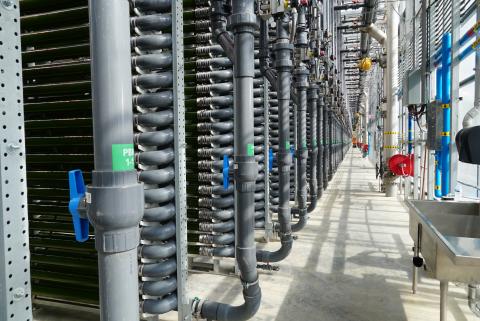 A wide shot of glass tubes in a greenhouse.