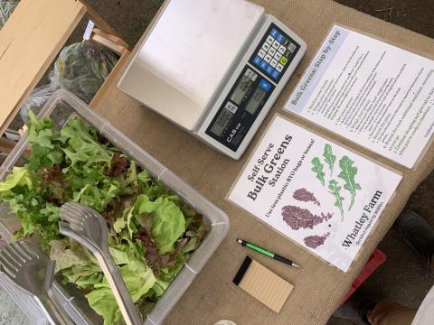 A bin of loose salad greens with tongs is pictured next to a scale in a farmers' market display.