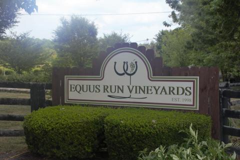 Equus Run Vineyard