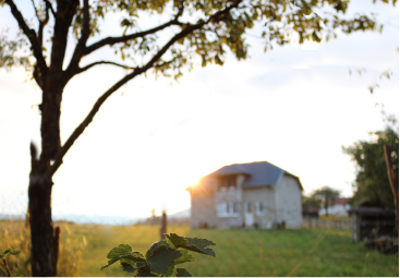 Image of two story home during sunset/sunrise during spring time. There is a medium sized tree that appears to hug the home though it from far away. 