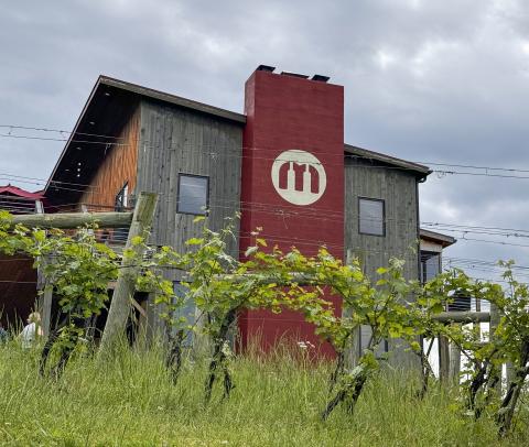 Outside view of Muse Vineyards tasting room with vines in the foreground
