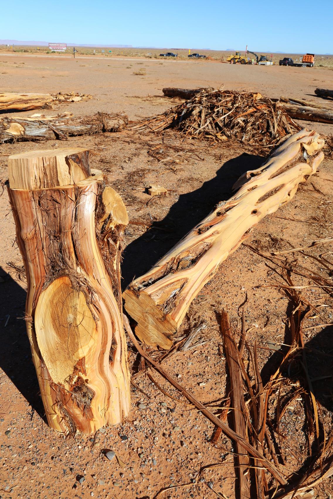 Stripped wood on a Utah desert ready to use for a Navajo Hogan