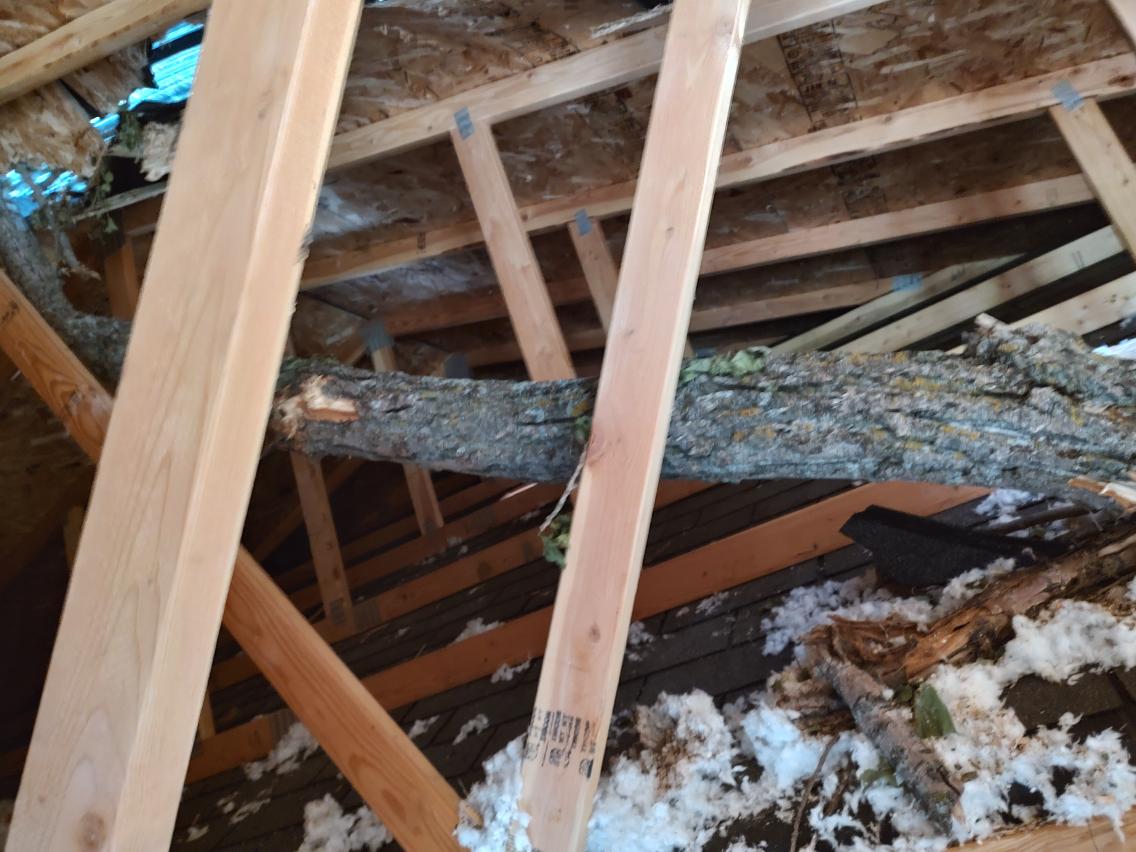 A tornado caused a tree to fall through Noesen's home.