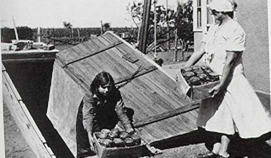 Black and white image of a child and mother with canned goods