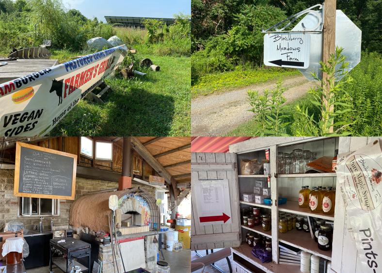 A photo collage of Blackberry Meadows Farm in Natrona Heights, Pa.