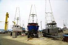 Port Orford Sustainable Seafood helps local, small-town fishers market and sell their products.