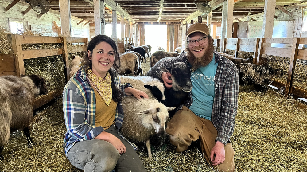 Two farmers pose with sheep inside a barn with hay on the floor and an open door in the background.