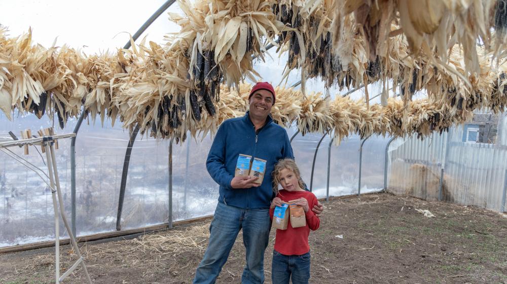 Man and child standing under corn hung to dry