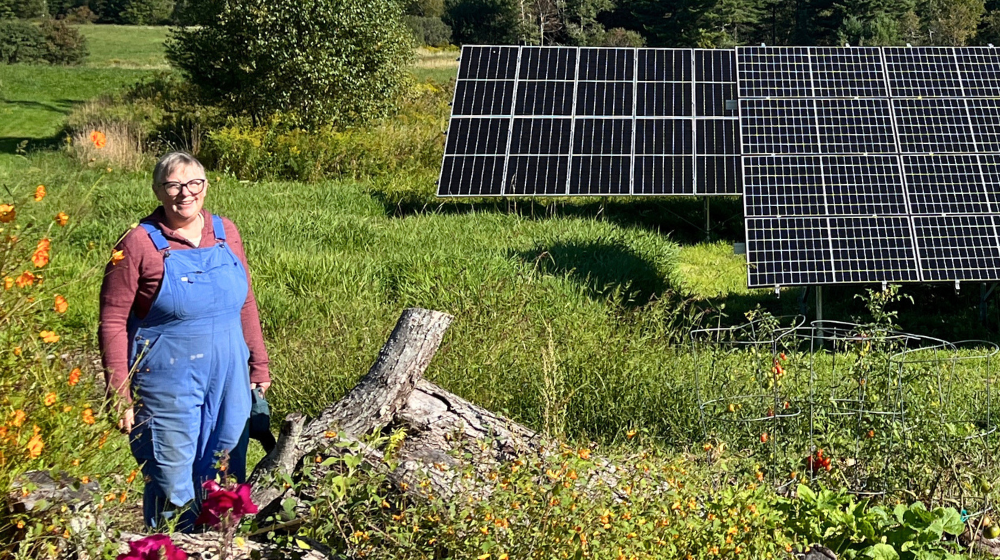 A woman wearing denim overalls stands in a green field with flowers in the foreground and solar panels and trees in the background.
