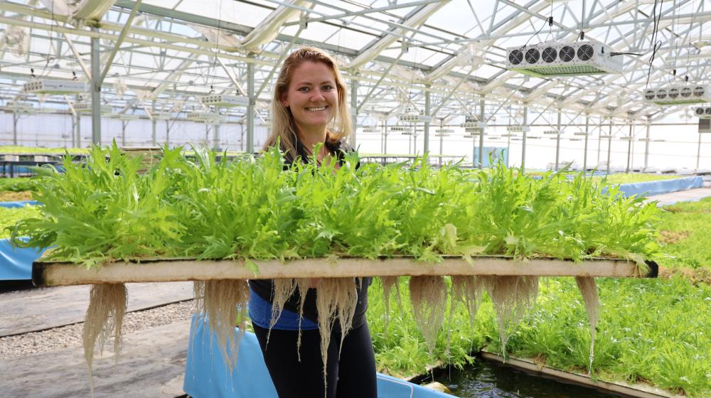 Woman holding lettuce grown in aquaponic greenhouse.
