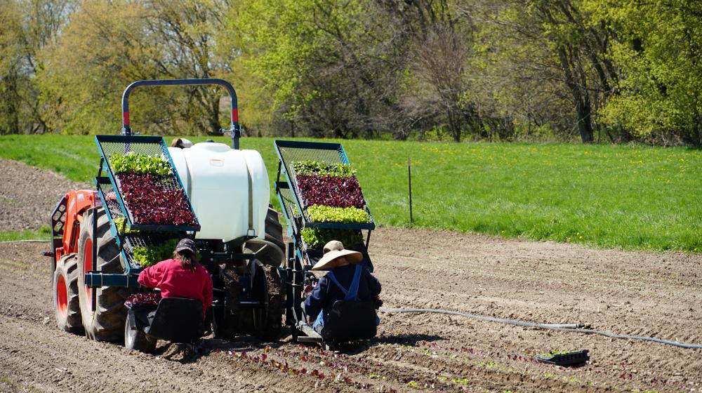 A tractor in a field with workers planting plants