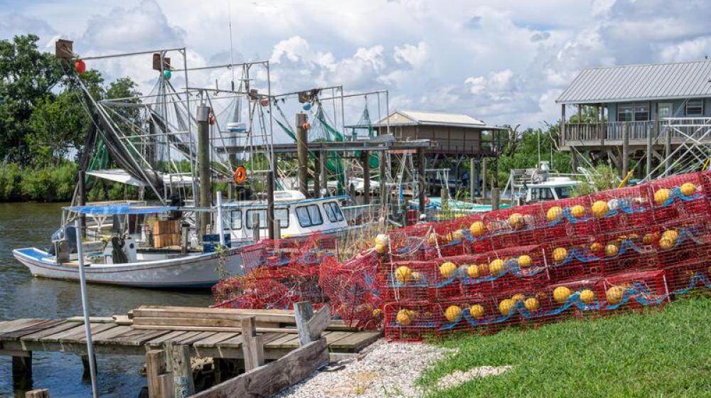 Shrimp boats of coastal southern Louisiana