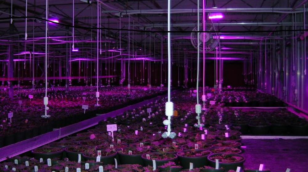 USDA funds for green house lighting