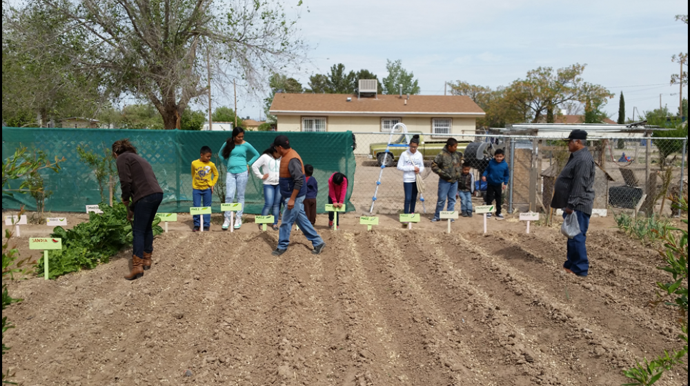 AYUDA Community Garden
