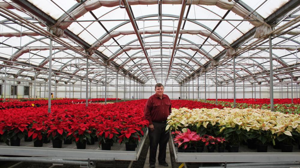 Image of Pineae Greenhouse