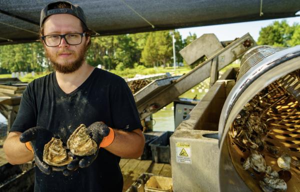 True Chesapeake Oyster Company 