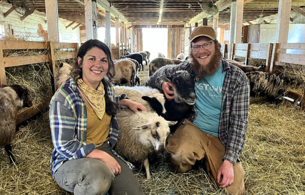 Two farmers pose with sheep inside a barn with hay on the floor and an open door in the background.