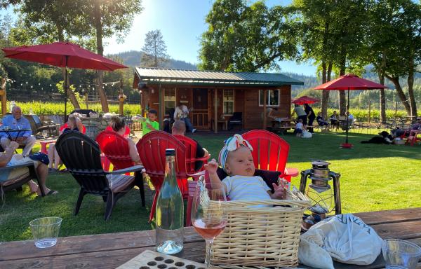 A baby in a basket sits on a table next to a board game and a wine glass. Behind them, family and friends gather on green grass beneath a blue sky for what appears to be a picnic or some kind of gathering with tables and umbrellas.