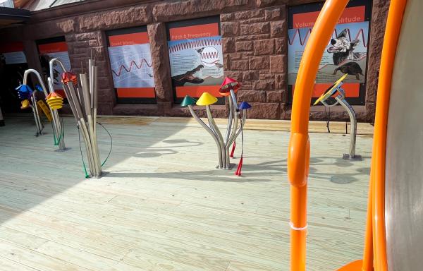 Fairbanks Museum interactive sensory installments