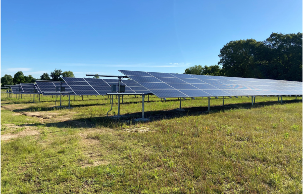 Webb Farm Solar