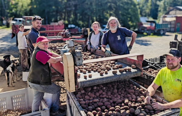 The Gerritsen family of Wood Prairie farm is shown gathered around potato sorting equipment.