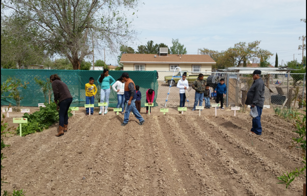 AYUDA Community Garden