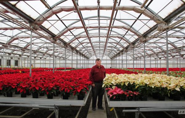 Image of Pineae Greenhouse